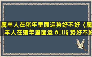 属羊人在猪年里面运势好不好（属羊人在猪年里面运 🐧 势好不好呀）